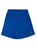 O'Neill Shorts "Brights" in Blau