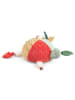 Sebra Activity-speelgoed "Turbo the turtle" - vanaf de geboorte
