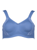 SUSA Minimizer-BH in Blau