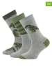 ewers 3er-Set: Socken in Grün/ Grau