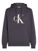 CALVIN KLEIN JEANS Hoodie antraciet