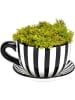 G. Wurm Blumentopf "Tasse" in Schwarz/ Weiß - (B)20 x (H)12 cm