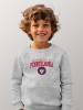 American Universities Sweatshirt "University Of Pennsylvania" in Grau