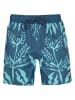 Barts Badeshorts "Torresk" in Blau/ Hellblau