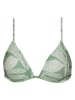 Barts Bikini-Oberteil "Akamu Fixed Triangle" in Grün/ Weiß