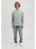 DSTREZZED Sweatshirt mintgroen