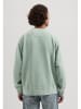 DSTREZZED Sweatshirt mintgroen