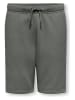 ONLY & SONS Junior Sweatshorts "Ceres" in Grau