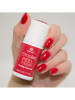 alessandro Striplac "Red Paradise", 8 ml