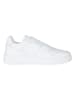 Tommy Hilfiger Shoes Leder-Sneakers in Weiß