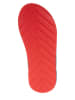 Tommy Hilfiger Shoes Zehentrenner in Dunkelblau