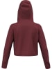 Salewa Funktionshoodie in Rot