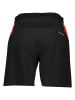 Salewa Sport-Shorts in Rot/ Schwarz