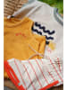 The New Chapter Shirt in Creme/ Grün