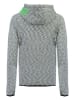 Geographical Norway Sweatvest "Galipette" grijs