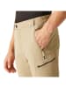 Regatta Zipp-Off-Funktionshose "Mountain" in Beige