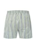 FYNCH-HATTON Badeshorts in Grün