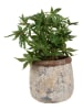 Clayre & Eef Bloempot beige - (H)17 x Ø 18 cm