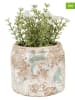 Clayre & Eef 2-delige set: bloempotten beige/mintgroen - (H)9 x Ø 11 cm