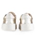 Anna Morellini Leder-Sneakers "Gioletta" in Beige/ Gold