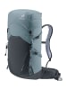 Deuter Wandelrugzak "Speed Lite 28 SL" antraciet/grijs - (B)28 x (H)61 x (D)20 cm