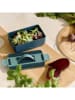 Homla Lunchbox "Theo" groen - 600 ml