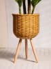 Homla Blumenständer ''Florsu'' in Beige - (H)45 x Ø 26 cm