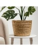 Homla Blumenübertopf ''Lumbo'' in Beige - (H)27 x Ø 21 cm