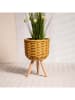 Homla Blumenständer ''Florsu'' in Beige - (H)33 x Ø 21 cm
