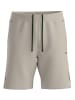 Hugo Boss Fashion Shorts in Beige