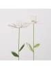 Boltze 2er-Set: Gartenstäbe "Darina" in Grün/ Weiß - (H)100 cm