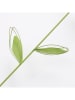 Boltze 2-delige set: tuinstekers "Darina" groen/wit - (H)100 cm
