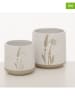 Boltze 2er-Set: Übertöpfe "Joanna" in Weiß/ Beige - (H)10 x Ø 10 cm