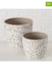 Boltze 2er-Set: Übertöpfe "Tysko" in Beige/ Weiß - (H)11 x Ø 13 cm