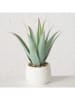 Boltze 2-delige set: planten in pot "Manacor" wit/groen - (H)29 x Ø 11,5 cm