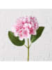 Boltze 2-delige set: kunstbloemen "Hortensie" groen/lichtroze -  (H)46 cm