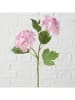 Boltze Kunstbloem "Hortensie" groen/lichtroze - (H)35 cm