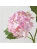 Boltze Kunstbloem "Hortensie" groen/lichtroze - (H)35 cm