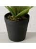 Boltze Plant in pot "Zonnebloemen" groen/geel - (H)33 x Ø 25 cm