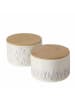 Boltze 2-delige set: voorraadpotten "Lavander" crème/paars - (H)10,5 x Ø 16 cm