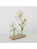 Boltze 2-delige set: deco objecten "Honey" wit/groen - (B)17 x (H)25 cm