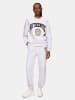 LTB Sweatshirt "Gosena" in Grau
