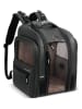 Delsey Tierrucksack "Raspail" in Schwarz - (B)31 x (H)43 x (T)29 cm