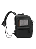 Delsey Tierrucksack "Raspail" in Schwarz - (B)31 x (H)43 x (T)29 cm