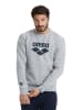 Arena Sweatshirt in Grau