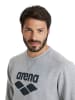 Arena Sweatshirt in Grau