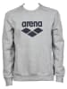 Arena Sweatshirt in Grau