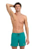 Arena Zwemshort groen