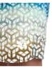Arena Zwemshort turquoise/bruin
