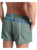 Arena Badeshorts in Oliv